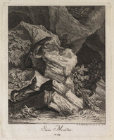 KG 01077
          <br/>
          Entwurf einiger Thiere. Fünfter Theil. (18 bladen)
          <br/>
          <em>Ridinger, Johann Elias (1698-1767)</em>
